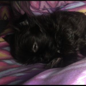 Meet your Posher, Sharon